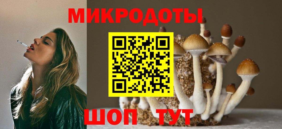 Псилоцибиновые грибы мицелий Кстово